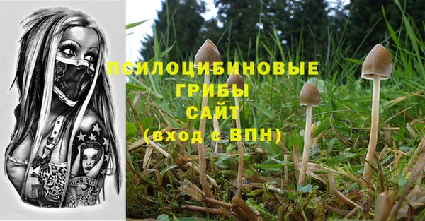 apvp Алзамай